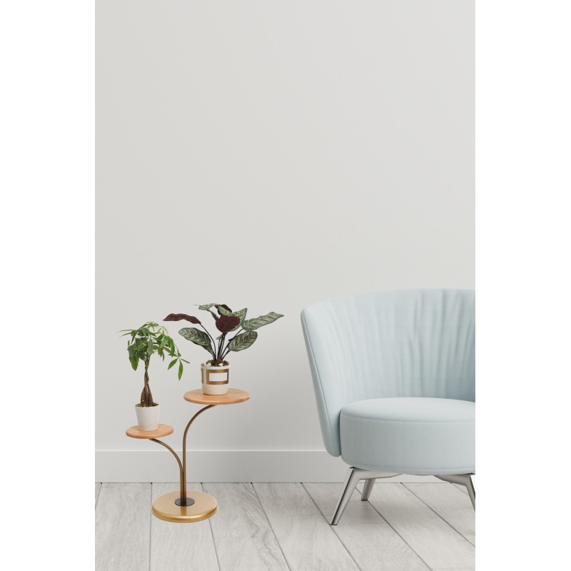 10334_0-800x800 Βοηθητικό τραπέζι Dieci oak καρυδί μέταλλο 35x62cm ed10334 - Image 1