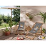 Ξαπλώστρα Gazeteci Teddy ed13022 - Image 2