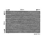 Κεφαλάρι Fuga 160 - Walnut ed16953 - Image 2