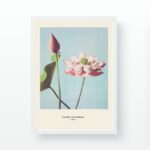 Πίνακας με κορνίζα Lotus 55x75εκ ed17744 - Image 2