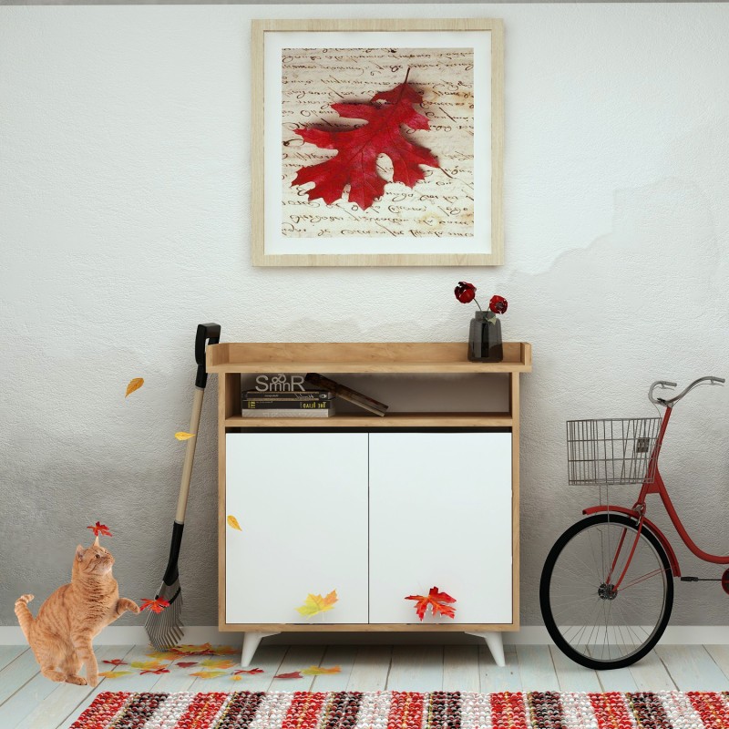 2960_0-800x800 Παπουτσοθήκη Arasso μελαμίνη άσπρη oak 100x35x102cm ed2960 - Image 1