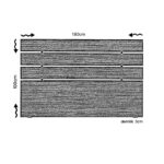 Κεφαλάρι Fuga δρυς μελαμίνη 180x3x100εκ ed3345 - Image 2