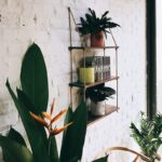 Ραφιέρα Raf καρυδί ξύλο 60x13x120εκ ed5938 - Image 3