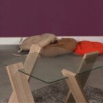 Τραπέζι σαλονιού Roman Mini oak μελαμίνη γυαλί 57x41cm ed6842 - Image 5